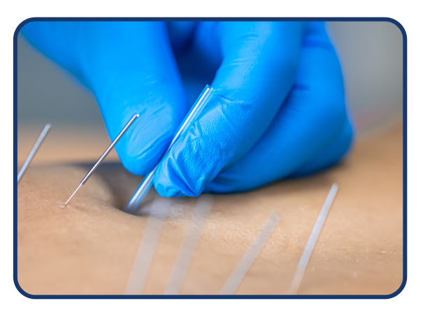 /center/3/course/75/